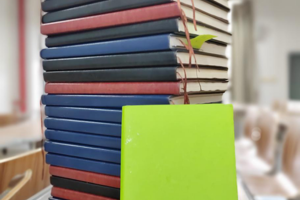 沉潜厚积 书海从遊——人文学院艺术评论卓越人才培养工程2025-2026学年寒假读书笔记展