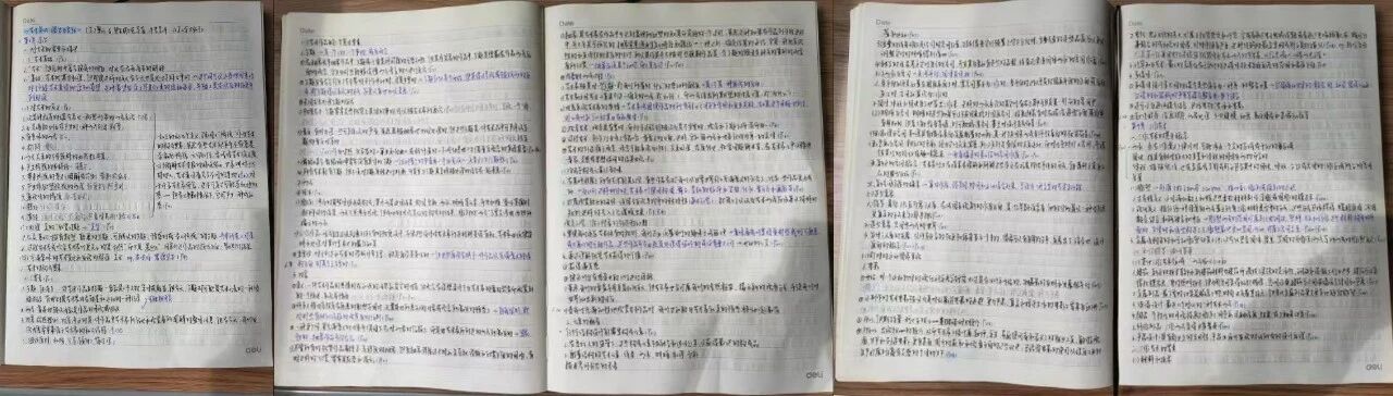 202603151718595765.jpg 202603151718595765.jpg